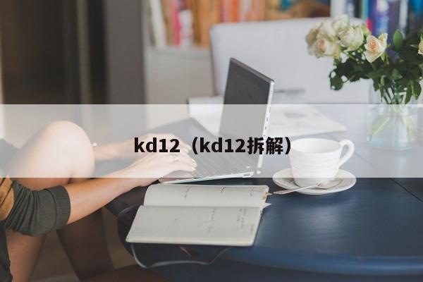 kd12（kd12拆解）